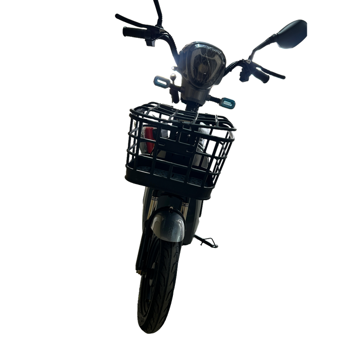 Električni bicikl Golden Eagle 2025 MODEL